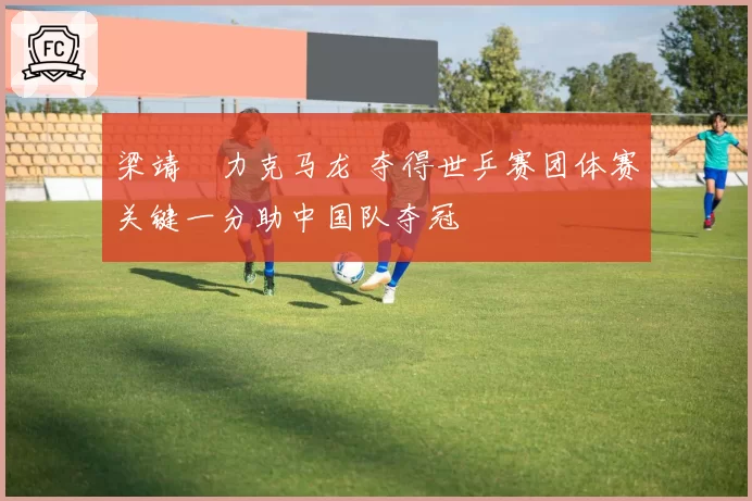 梁靖崑力克马龙 夺得世乒赛团体赛关键一分助中国队夺冠