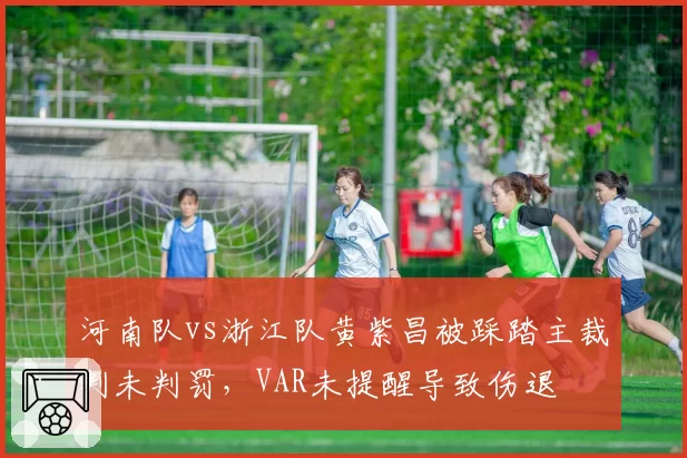 河南队vs浙江队黄紫昌被踩踏主裁判未判罚，VAR未提醒导致伤退