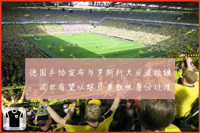 德国乒协宣布与罗斯科夫分道扬镳，波尔有望以球员兼教练身份过渡