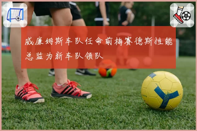 威廉姆斯车队任命前梅赛德斯性能总监为新车队领队