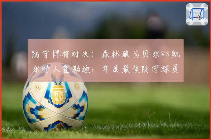 防守悍将对决：森林狼戈贝尔vs凯尔特人霍勒迪，年度最佳防守球员数据解析